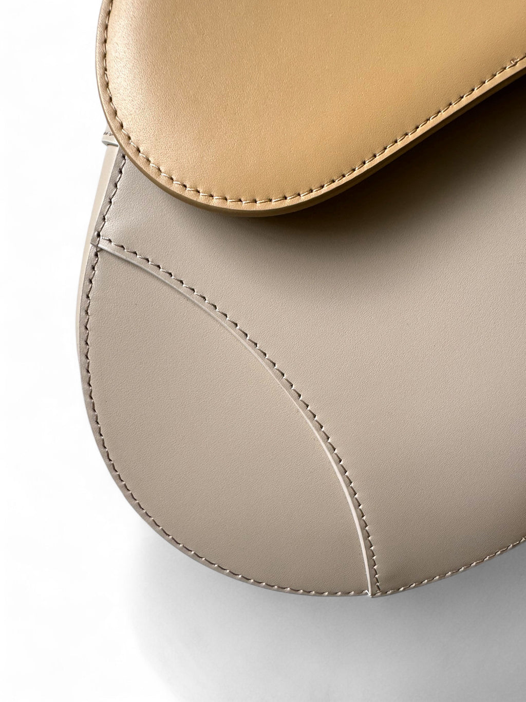Borsa Saddle Dior Collezione 2024