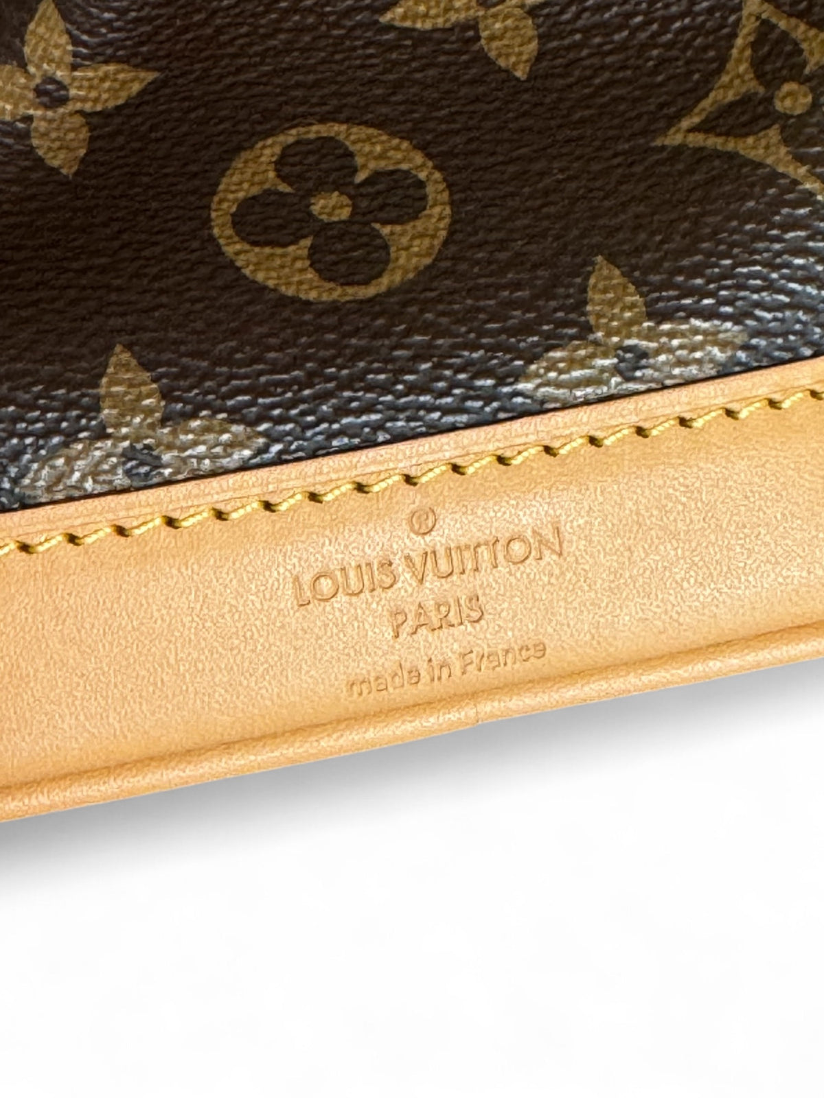 Borsa a Secchiello Noè Nano Louis Vuitton