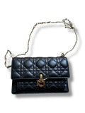 Pochette Daily My Dior