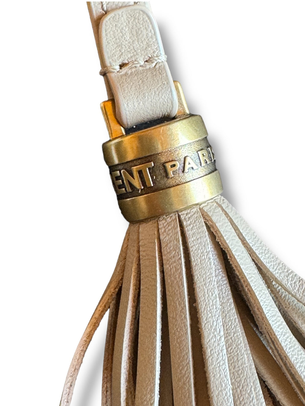 Borsa Lou Camera Bag Saint Laurent