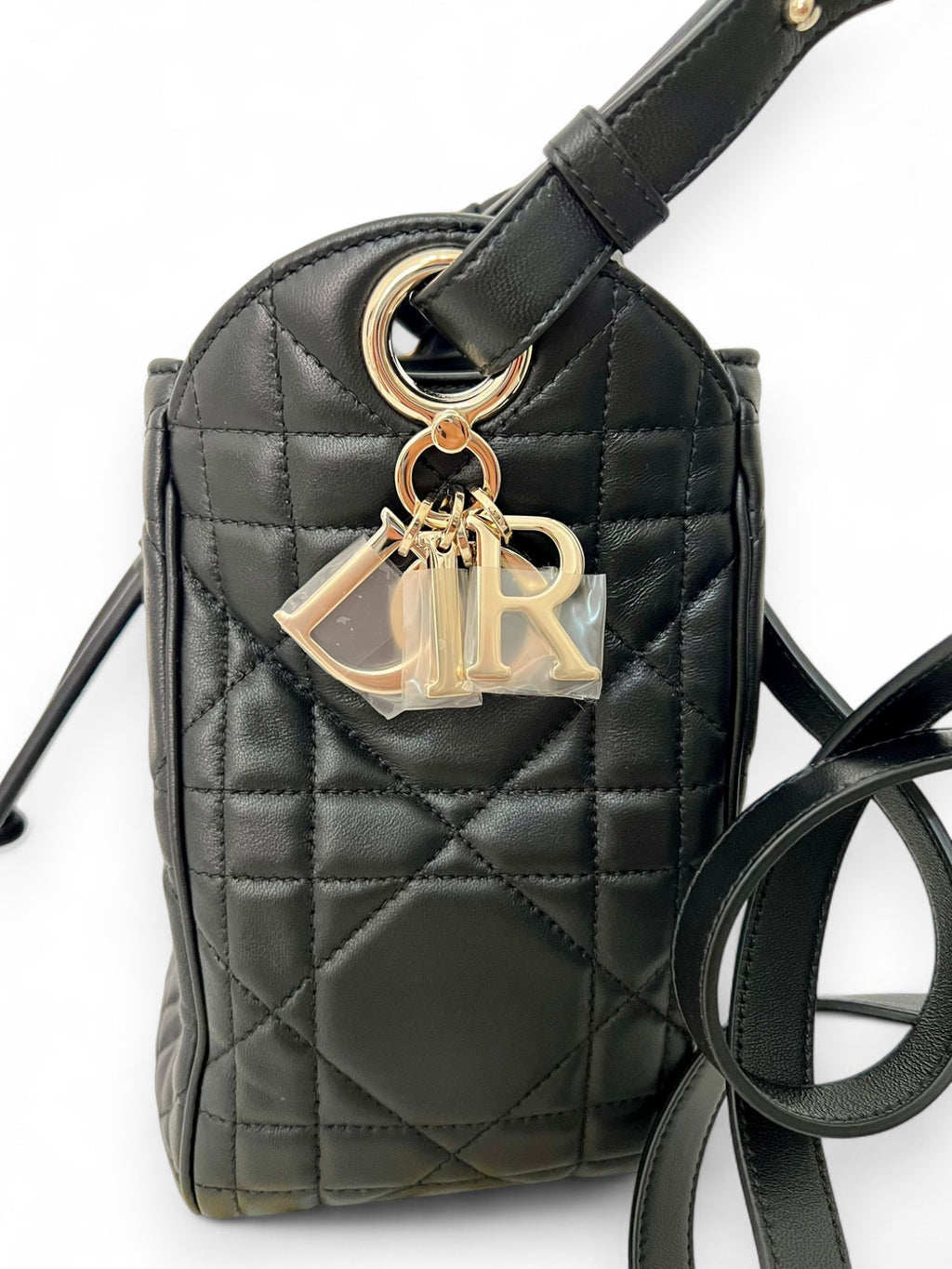 Borsa Piccola D-Motion Dior “LoCobag Élite”